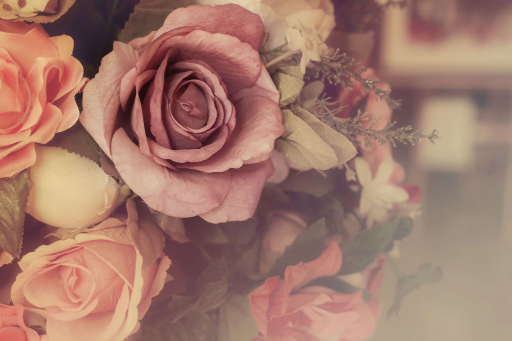 Vintage pink roses