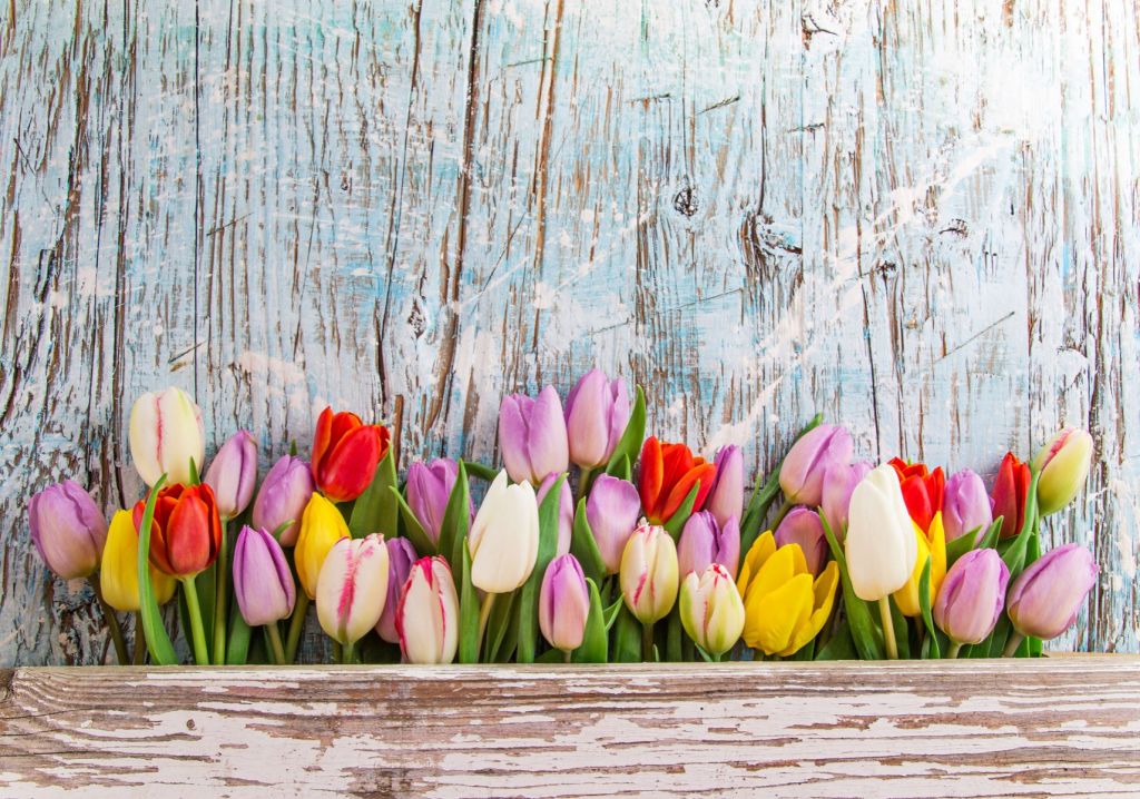 Tulips with wood