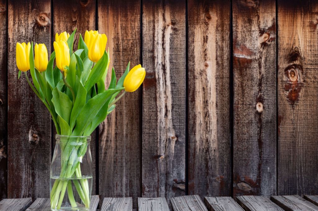 Vase with tulips