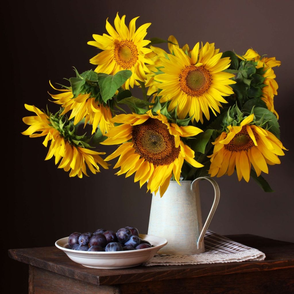 Sunflowers and berries