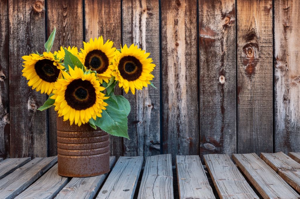 Vase with sunflowers