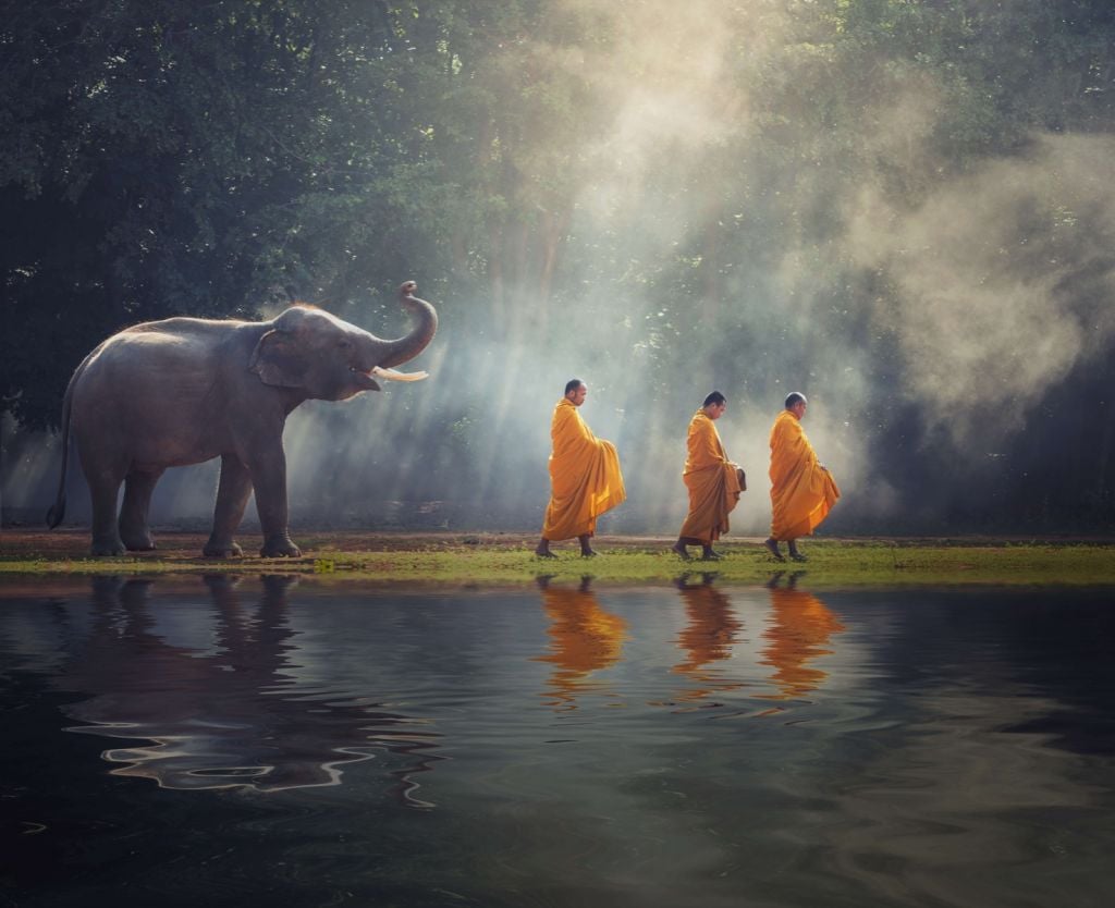 Elephant and Buddhists