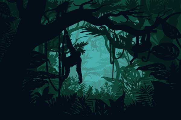 Monkey in the jungle