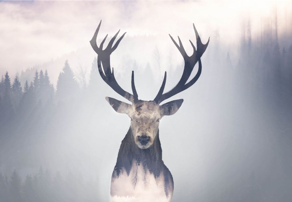 Reindeer in the forest