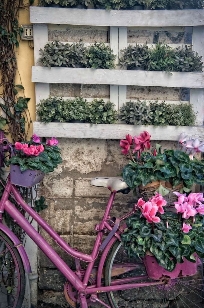 Vintage bike with flowers