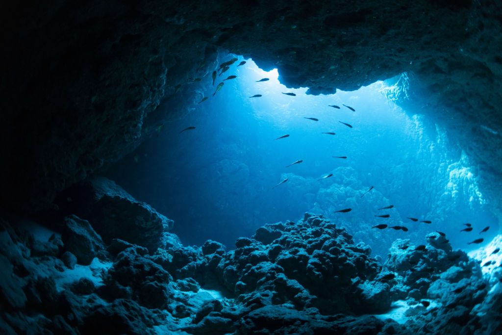 Underwater cave with fish