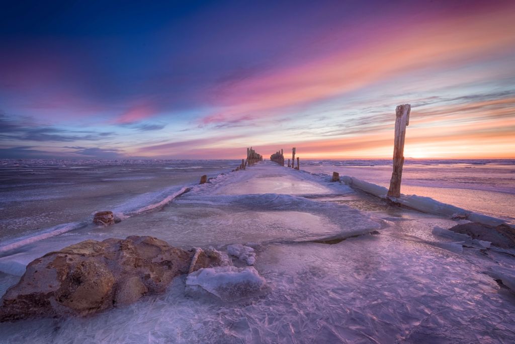 Heads of poles on the frozen Baltic Sea