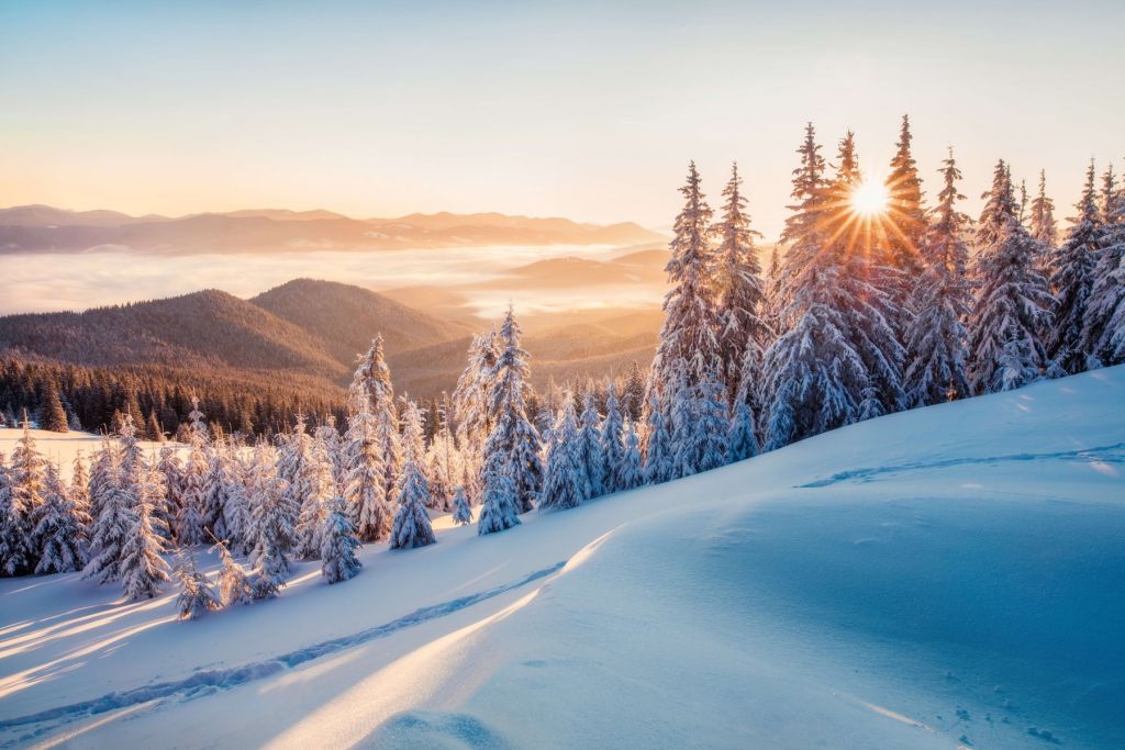 Winter morning in the mountains