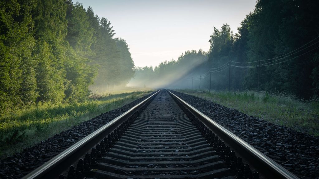 Train tracks through the forest