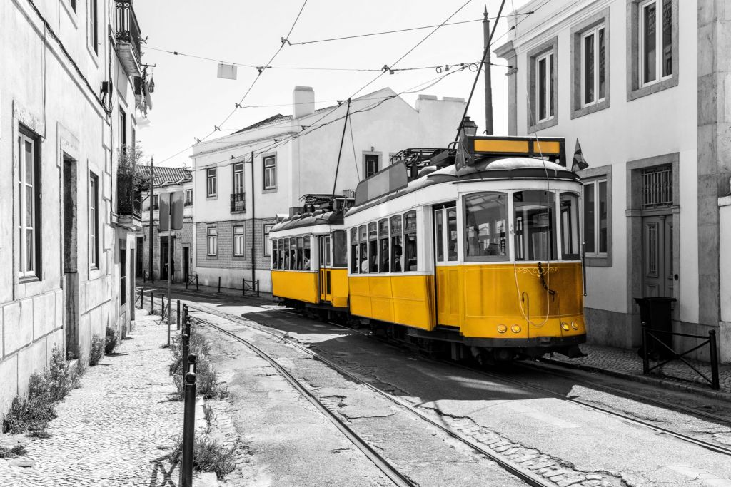 Yellow tram in a black and white street