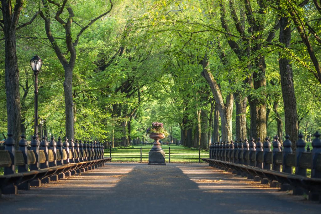 Path in Central Park