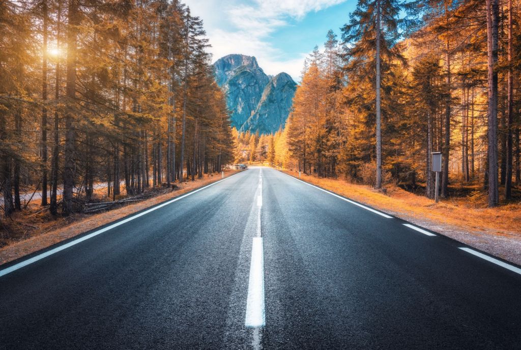 Road in autumn