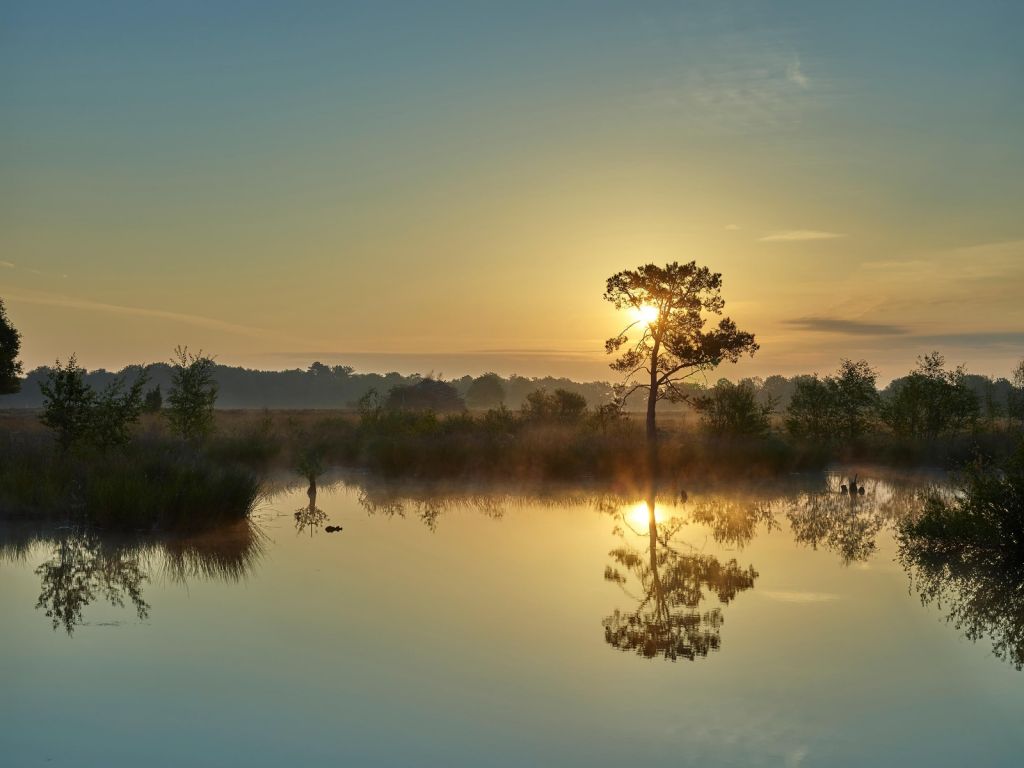 Sunrise at bosven