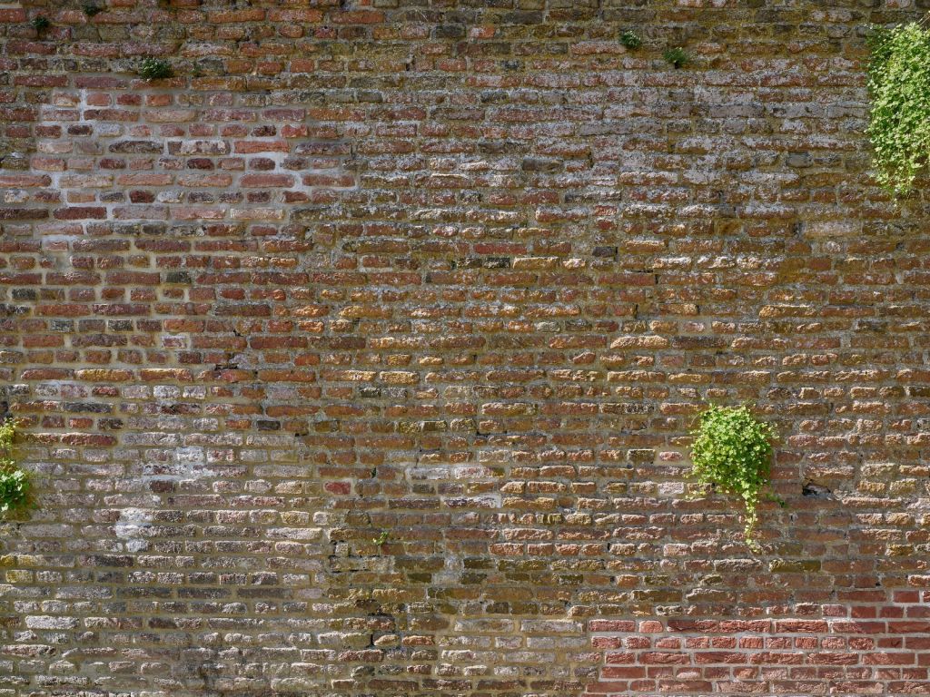 Old stone city wall with plants