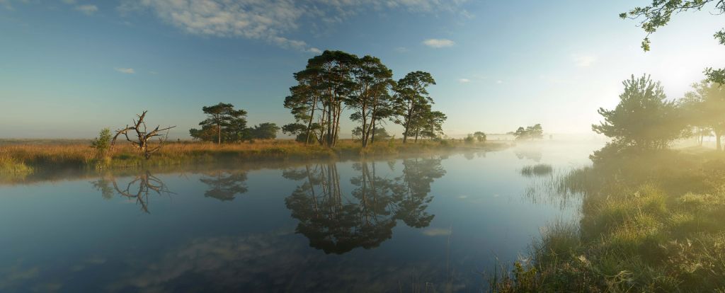 Reflection in moorland