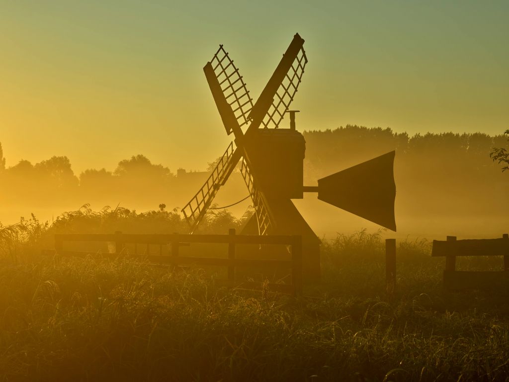 Meadow mill at sunrise