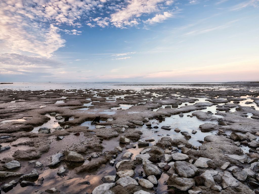 Stones along the coast