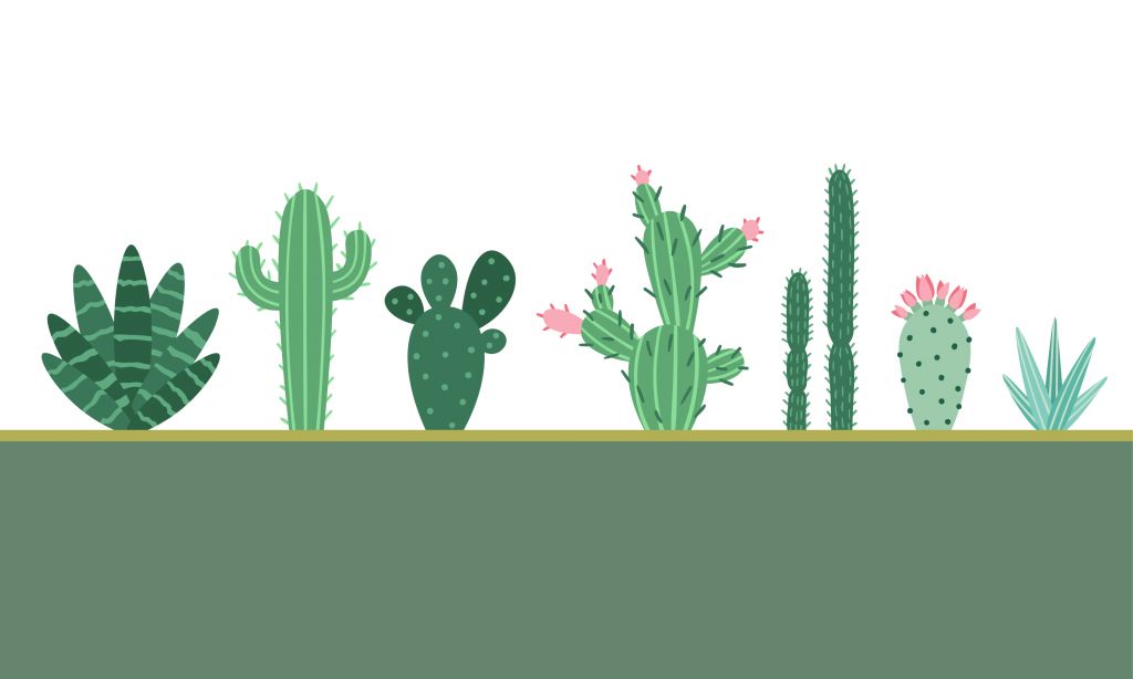 Green area with cacti