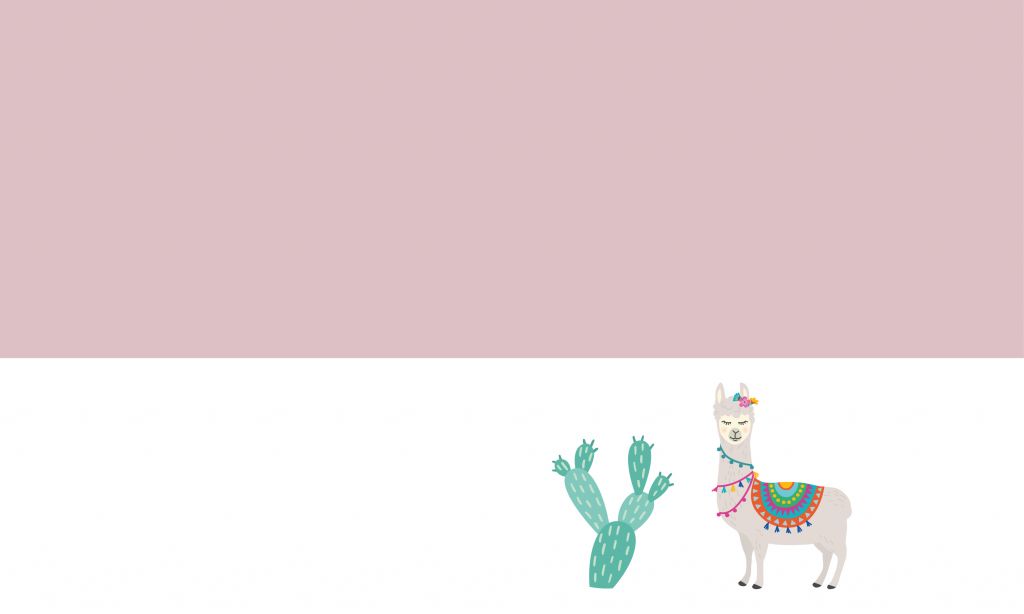 Cheerful llama with cactus