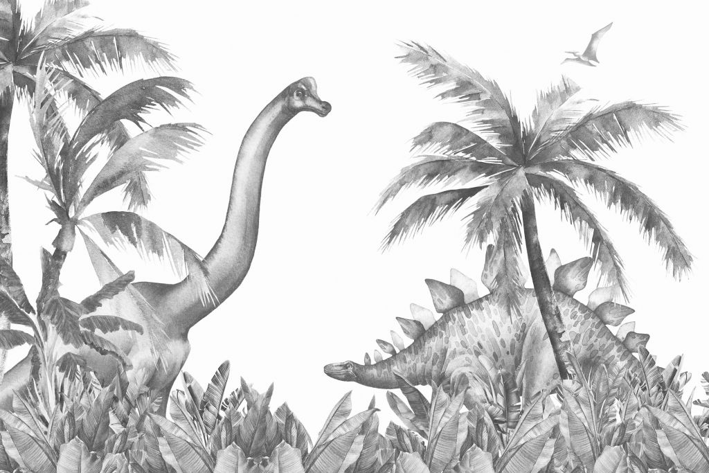 Dinosaurs in black and white