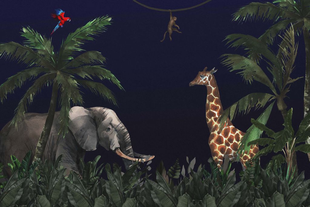 Jungle animals at night