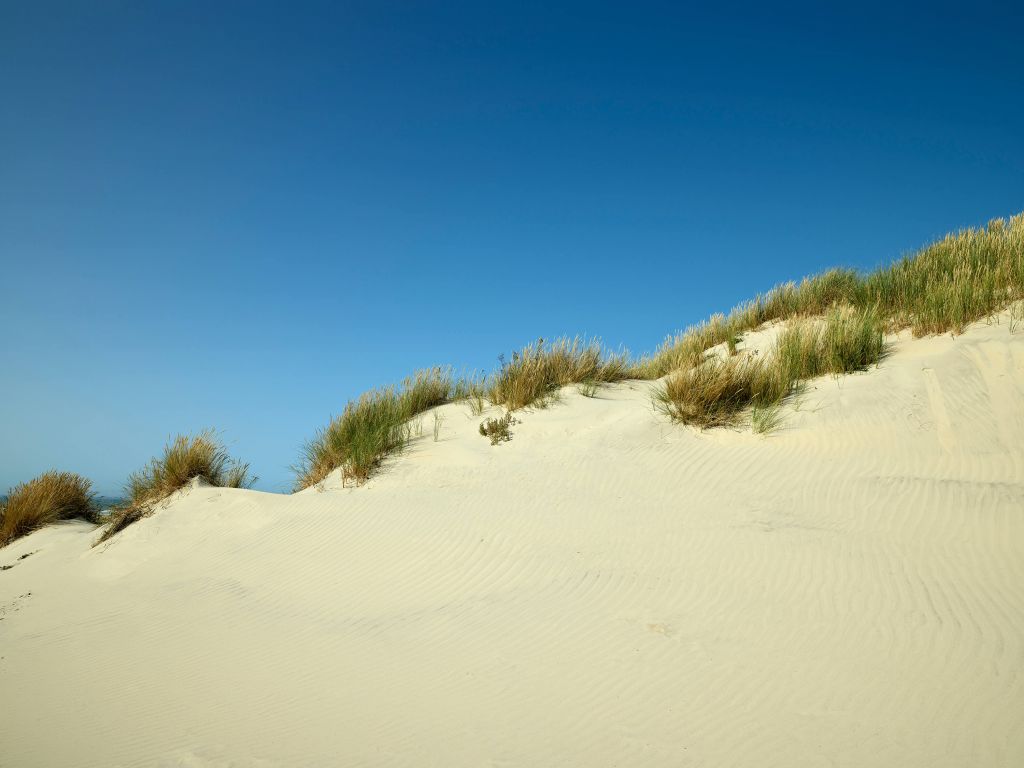 Dunes with blue sky