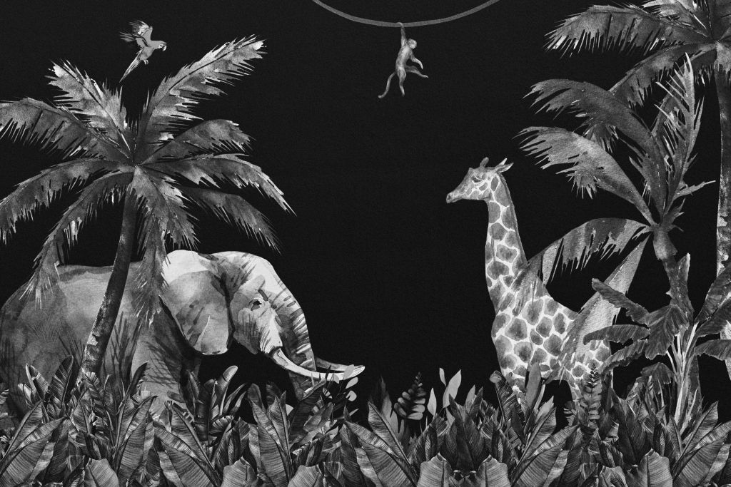 Black and white jungle animals