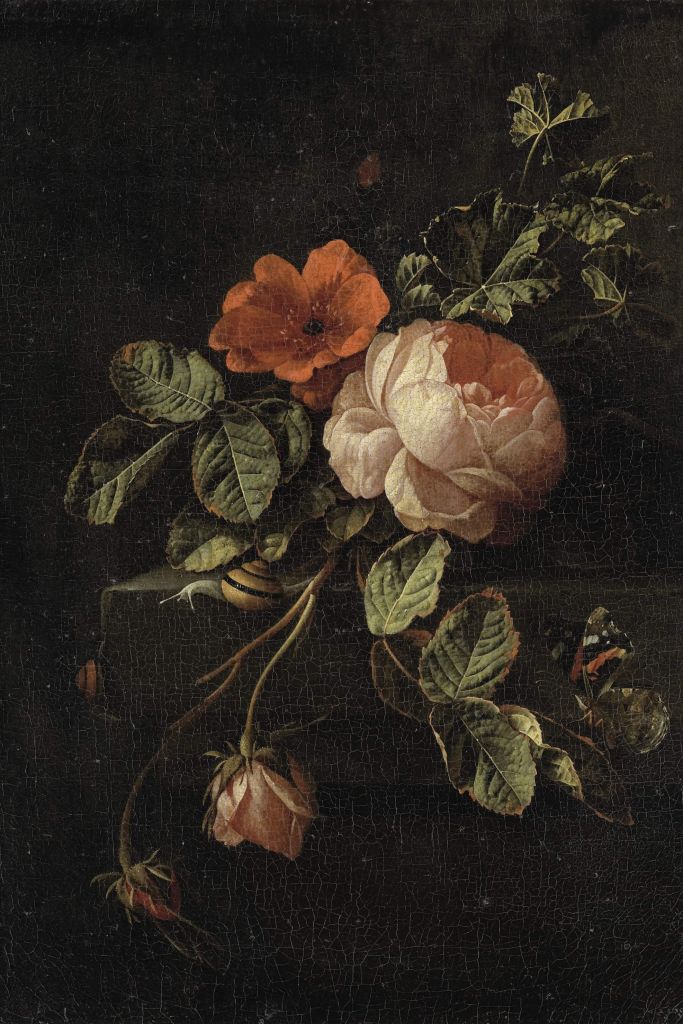 Still life with roses