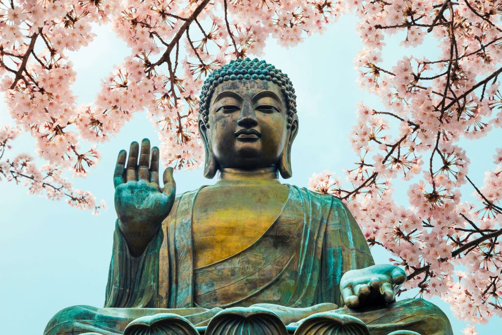 Buddha surrounded with cherry flowers
