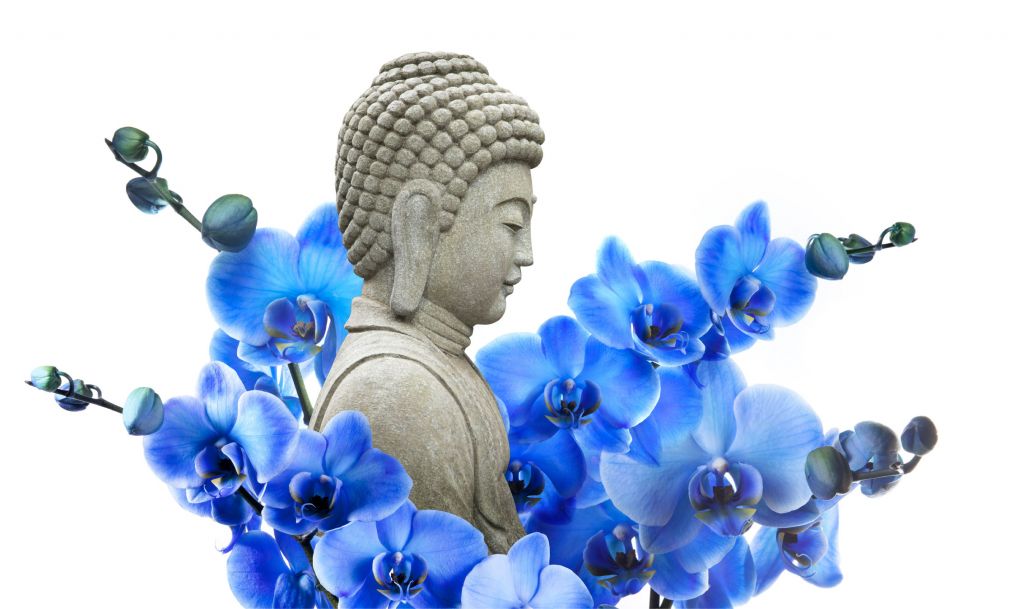 Buddha and orchid