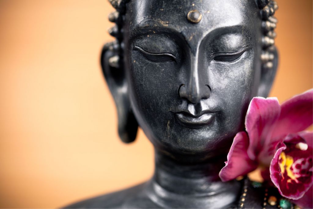 Buddha and pink orchid
