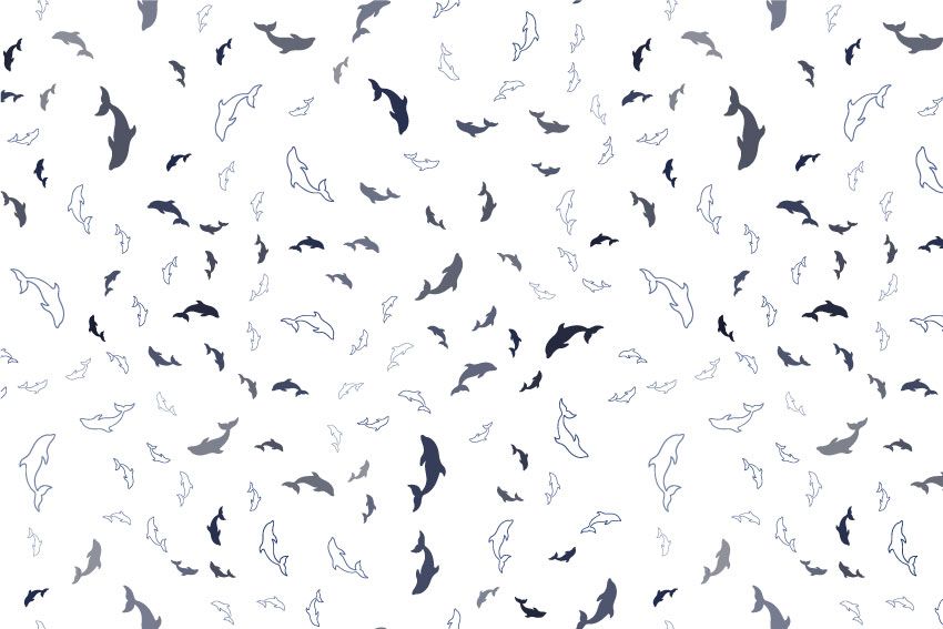 Dolphin pattern