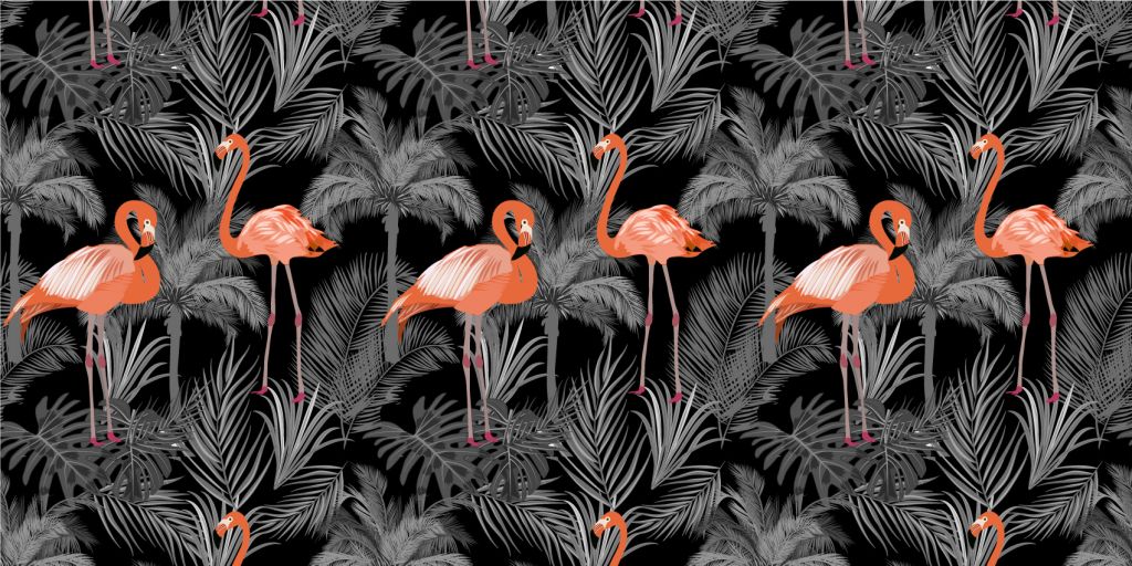 Flamingos on black