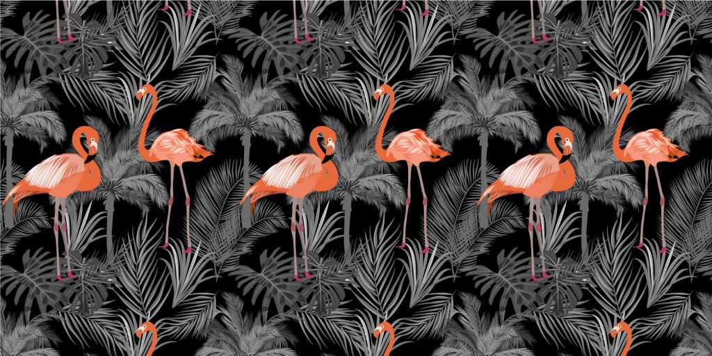 Flamingos on black