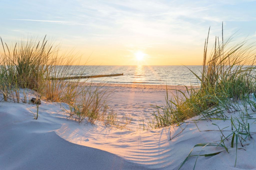 Dune beach with sunset