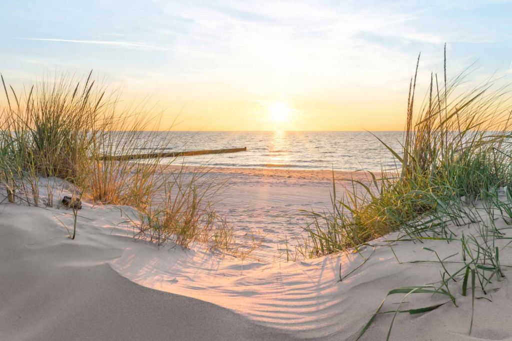 Dune beach with sunset