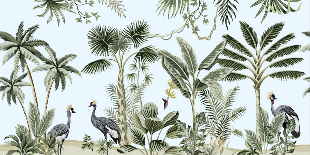 Tropical Cranes