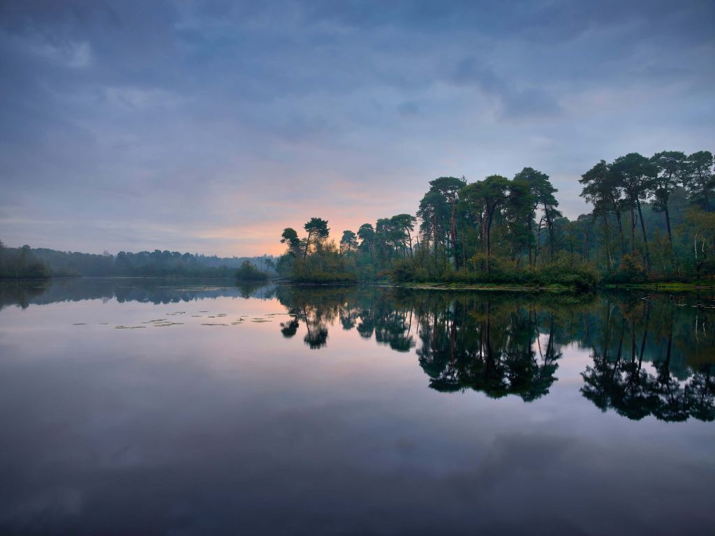 Reflection in forests at sunrise