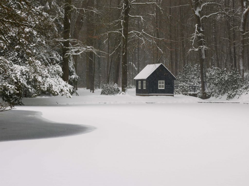 Cottage in the snow