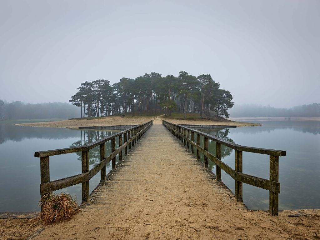 Island in the fog