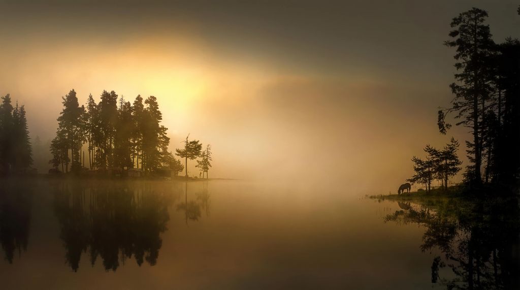 Island in the fog