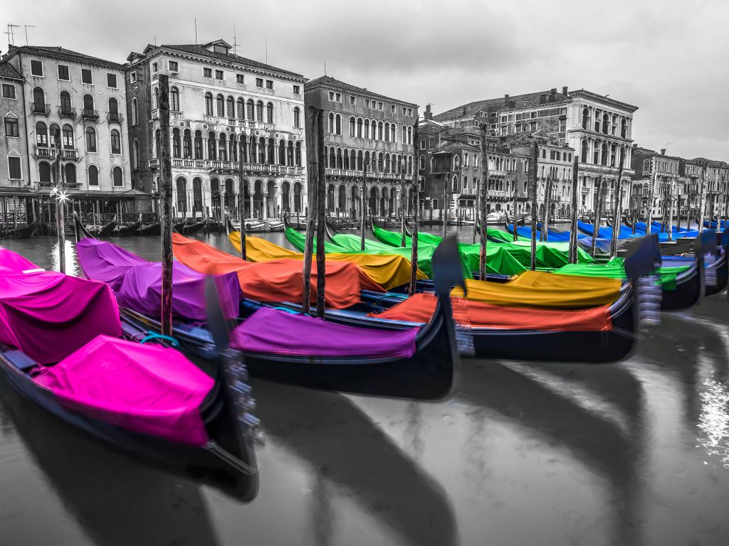 Parked gondolas