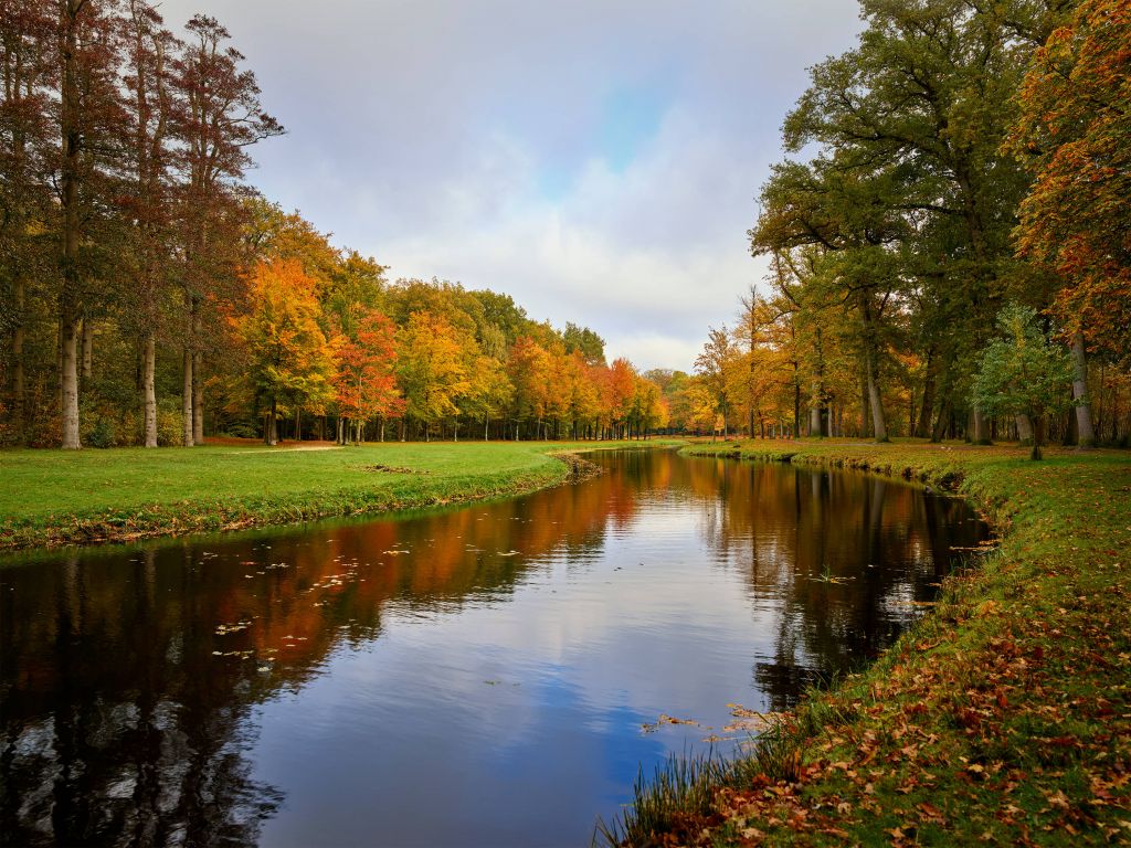 Forest in autumn