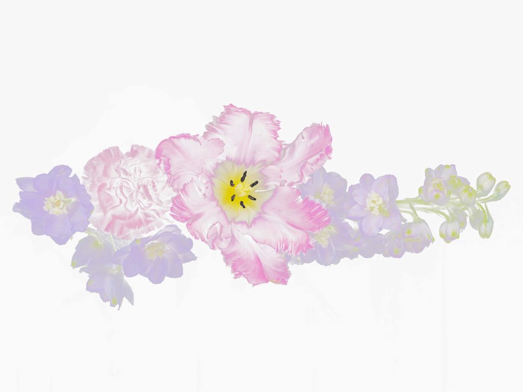 Bouquet of flowers