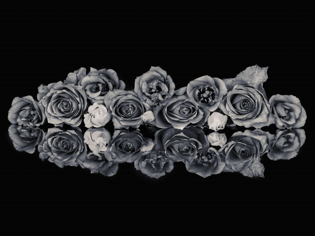 Roses bouquet black and white
