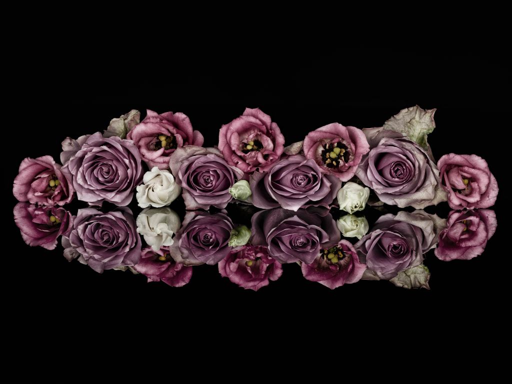 Roses bouquet
