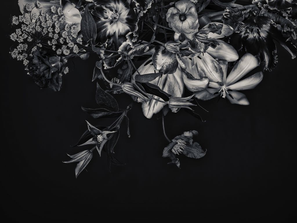 Flowers wall blue tone