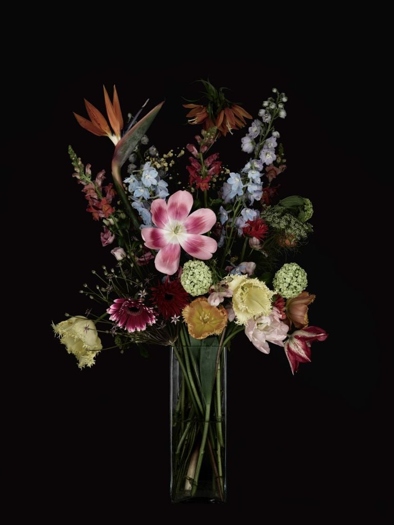 Still life of flowers