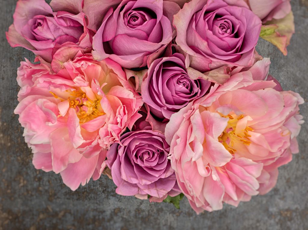 Bouquet of roses