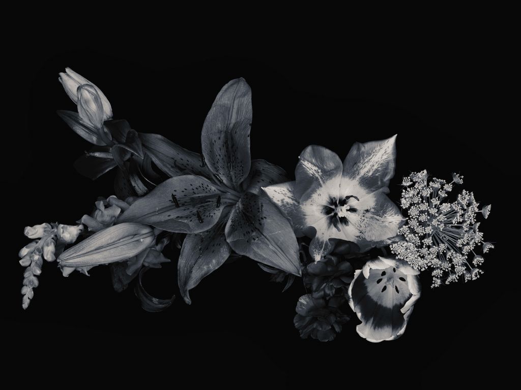 Compound flowers black and white